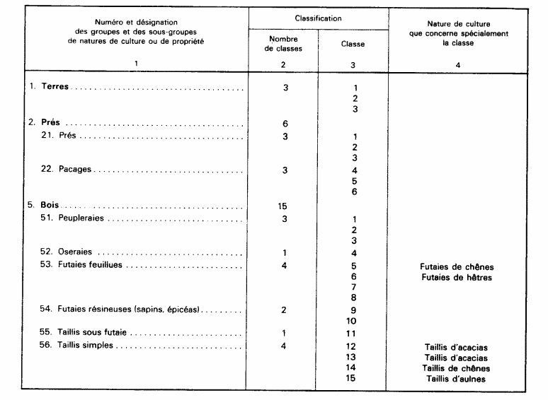 classificationsculturesTFNB