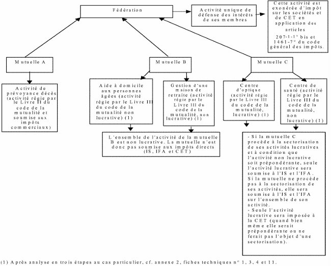 modalités pratiques de détermination du caractère lucratif, non lucratif ou exonéré des activités des mutuelles schema n°2