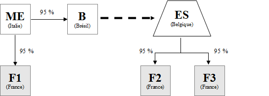 IS - Exemple d'un ES ayant statut de SE